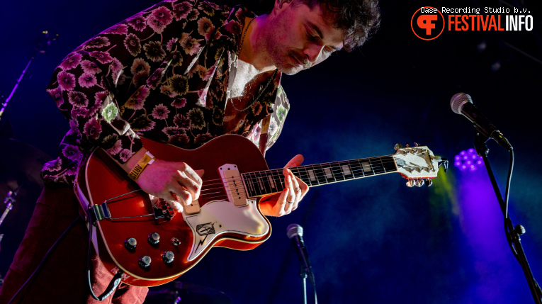 The Cinelli Brothers op Blues Festival De Doolhof 2026 foto