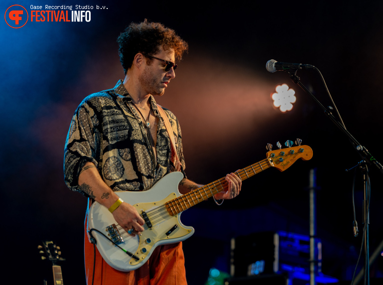 The Cinelli Brothers op Blues Festival De Doolhof 2026 foto