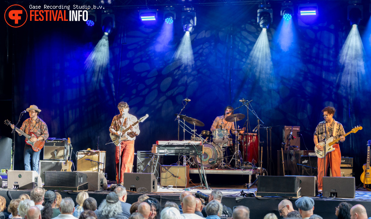 The Cinelli Brothers op Blues Festival De Doolhof 2026 foto