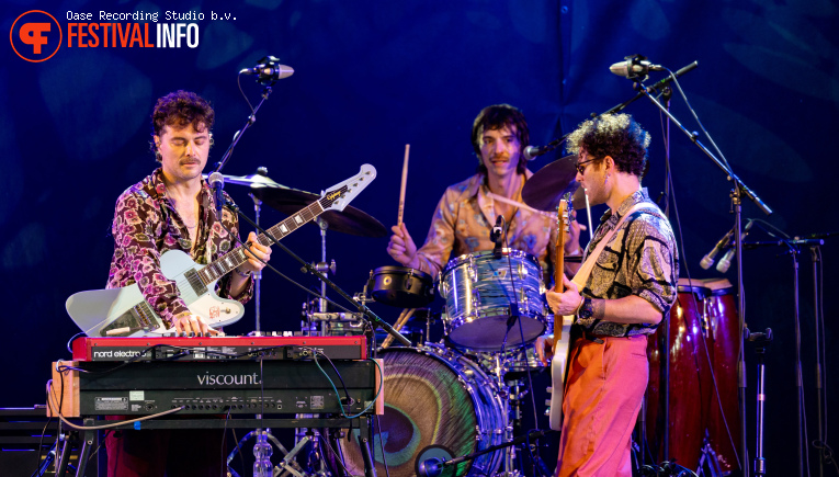 The Cinelli Brothers op Blues Festival De Doolhof 2026 foto