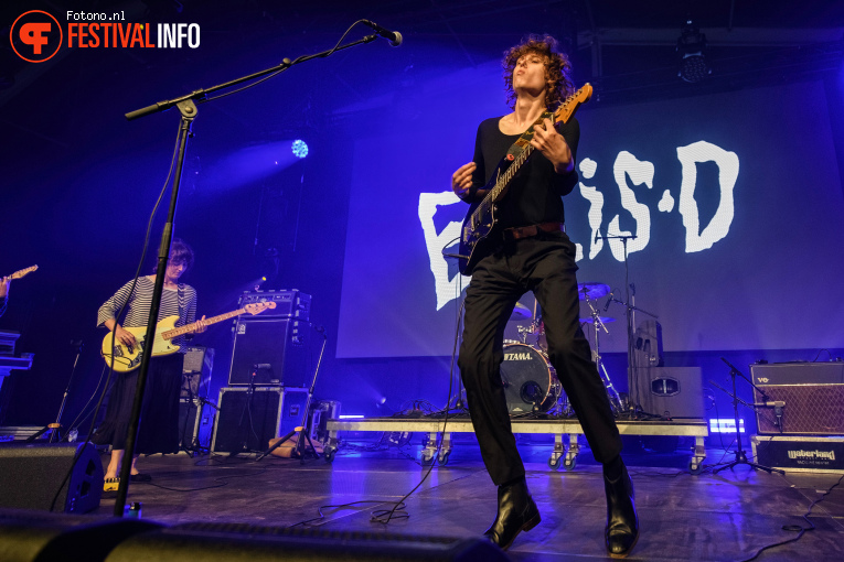 Ellis-D op Misty Fields 2026 -= Vrijdag foto