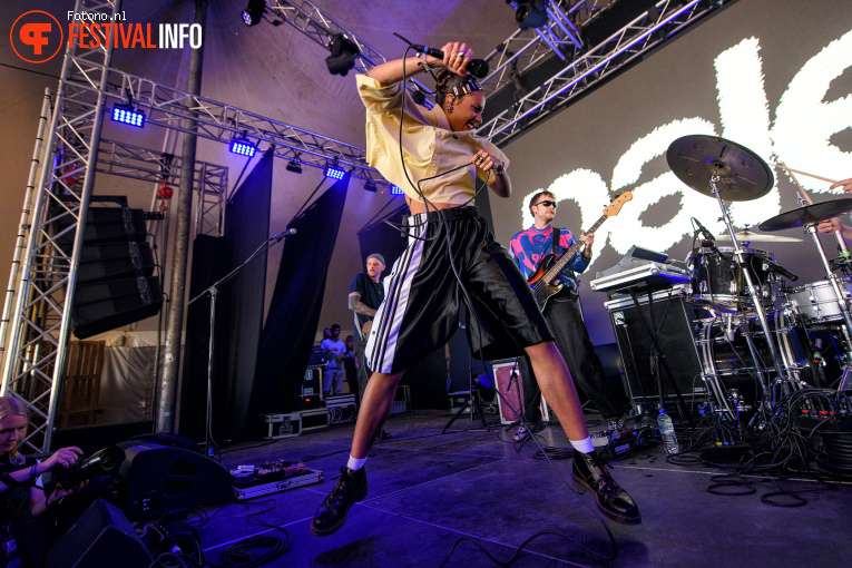 Pales op Misty Fields 2026 - Zaterdag foto