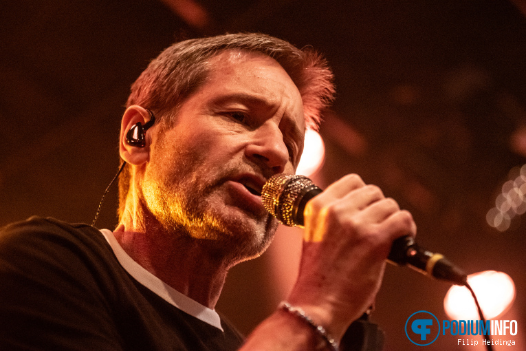 David Duchovny op David Duchovny - 12/10 - Melkweg foto