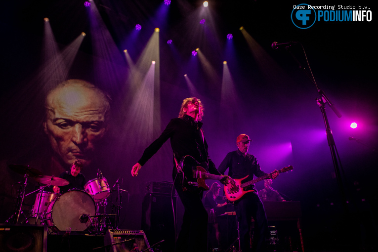 The Fatal Flowers op The Fatal Flowers - 28/10 - Hedon foto