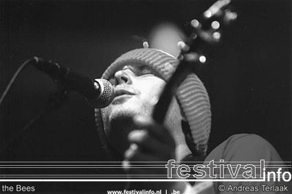 The Bees op Lowlands 2002 foto