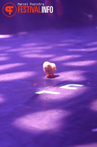 Lowlands LLaunch foto