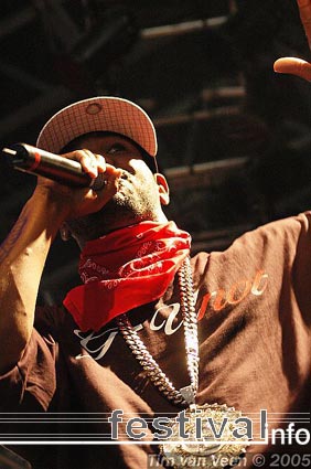 The Game op Roskilde 2005 foto