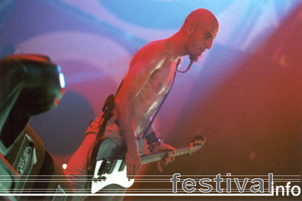 System Of A Down op Lowlands 2001 foto