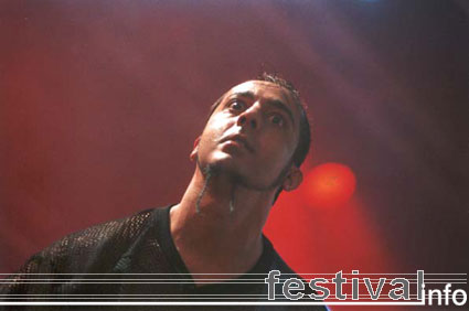 System Of A Down op Lowlands 2001 foto
