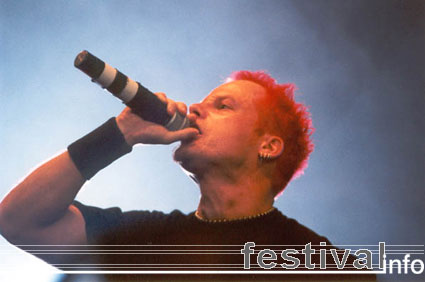 Heideroosjes op Lowlands 2001 foto