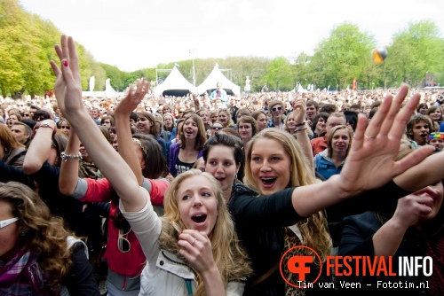 Bevrijdingsfestival Utrecht 2010 foto