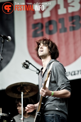 Kleinindustrie op Bevrijdingsfestival Utrecht 2010 foto