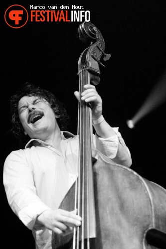 Absynthe Minded op Vlaamse Reuzen Hollandse Leeuwen 2010 foto