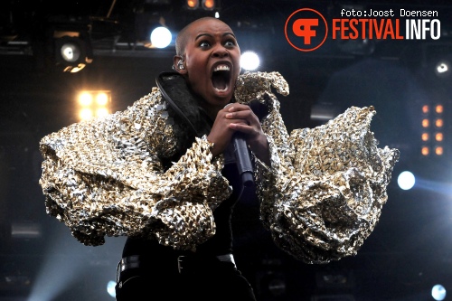 Skunk Anansie op Pinkpop 2010 foto