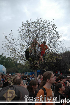 Sziget 2005 foto