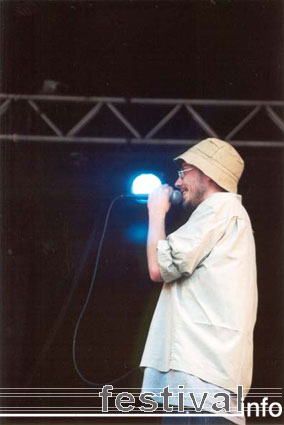 Beeckesteinpop 2001 foto