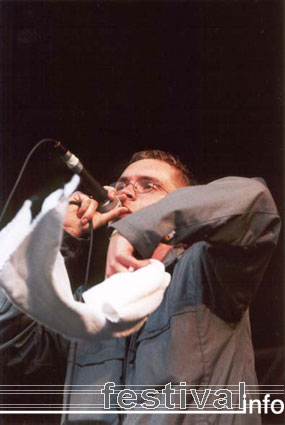 Foto Brainpower op Beeckesteinpop 2001