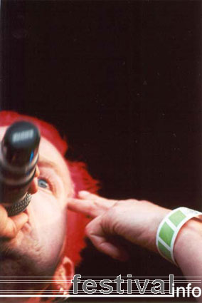 Heideroosjes op Beeckesteinpop 2001 foto