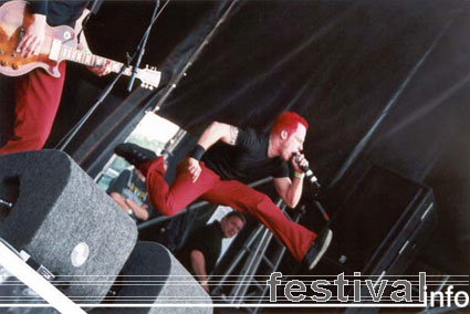 Heideroosjes op Beeckesteinpop 2001 foto