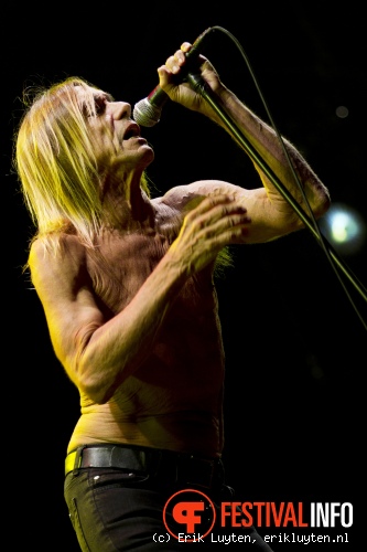 Iggy & The Stooges op Pinkpop Classic 2010 foto