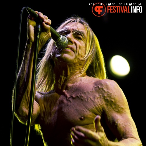 Iggy & The Stooges op Pinkpop Classic 2010 foto