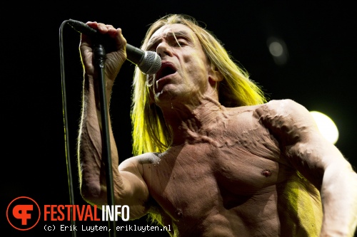 Iggy & The Stooges op Pinkpop Classic 2010 foto