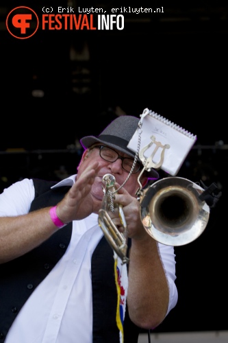 De Janse Bagge Bend op Pinkpop Classic 2010 foto