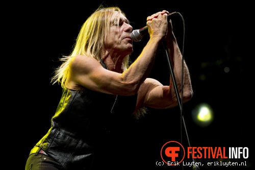 Iggy & The Stooges op Pinkpop Classic 2010 foto