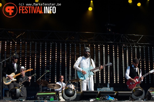 Eels op Pukkelpop 2010 foto