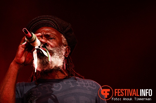 Burning Spear op Lowlands 2010 foto