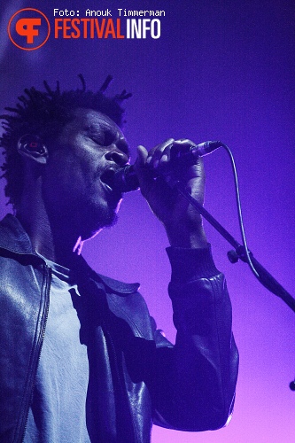 Massive Attack op Lowlands 2010 foto