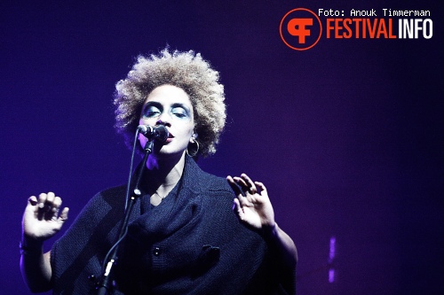 Massive Attack op Lowlands 2010 foto