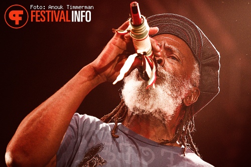 Burning Spear op Lowlands 2010 foto