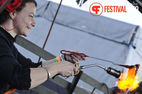 Robodock Festival 2010 foto