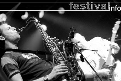 Dutchska 2006 foto