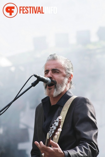 Triggerfinger op Bevrijdingspop Haarlem 2011 foto