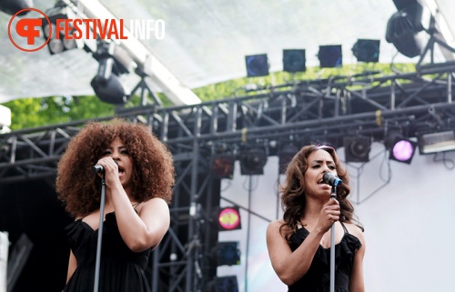 Bevrijdingspop Haarlem 2011 foto