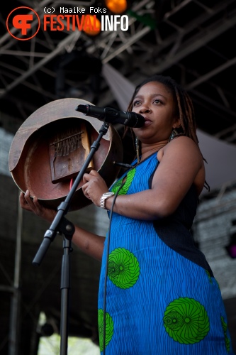 Chiwoniso op Ambassadeur van de Vrijheid: Chiwoniso foto