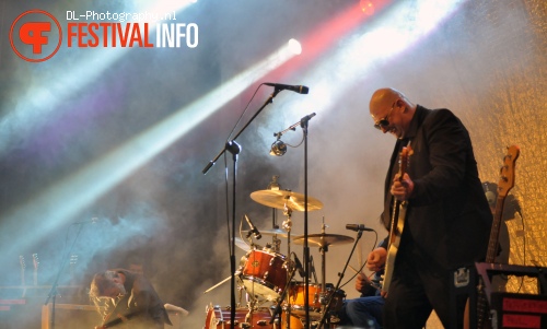 Triggerfinger op Bevrijdingsfestival Wageningen 2011 foto