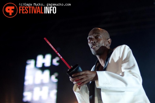 Faithless Soundsystem op Indian Summer Festival 2011 foto