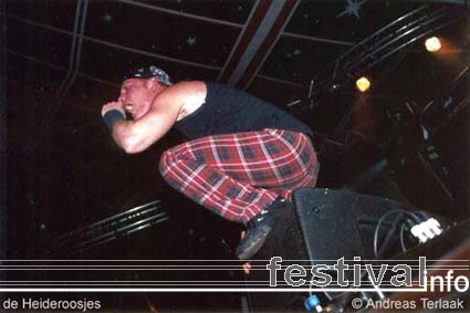 Heideroosjes op Paaspop 2002 foto