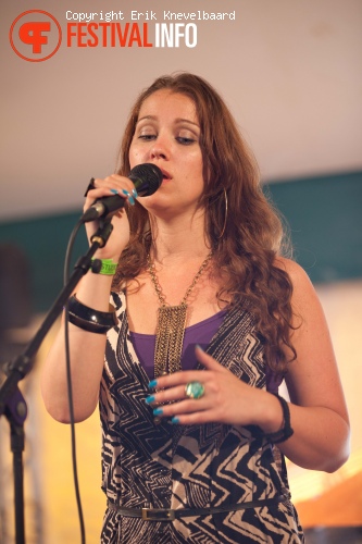 Dijkpop 2011 foto