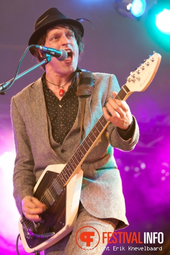 Dijkpop 2011 foto