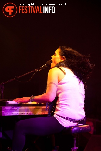 Dijkpop 2011 foto