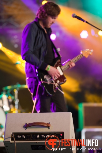 Dijkpop 2011 foto