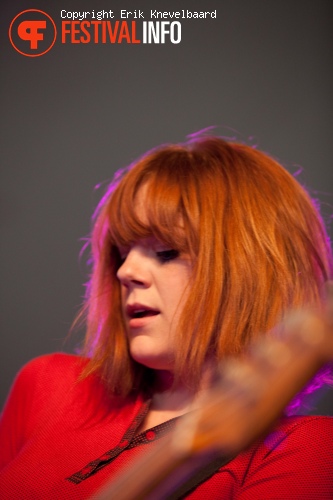 Dijkpop 2011 foto