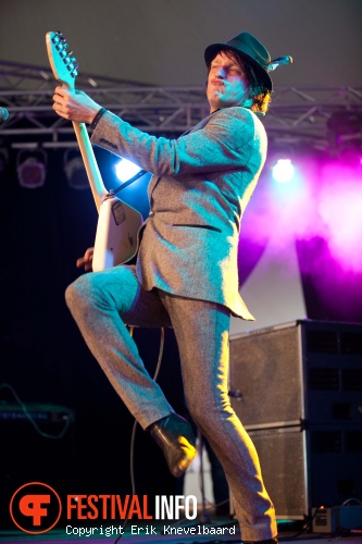 Dijkpop 2011 foto