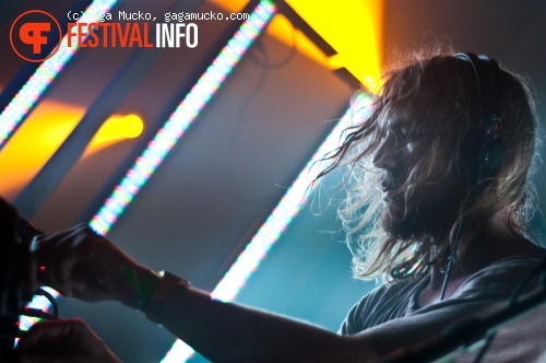 Palmbomen op PITCH Festival foto