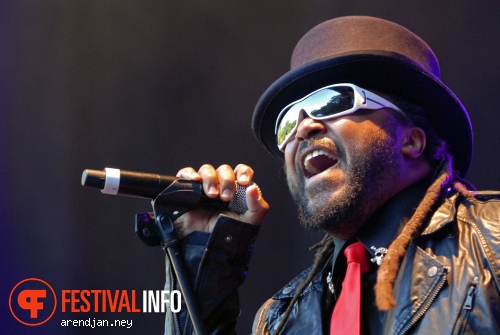 Skindred op Werfpop 2011 foto