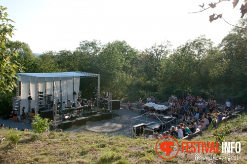 Deep In The Woods 2011 foto